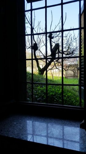 Bilocale Valgreghentino