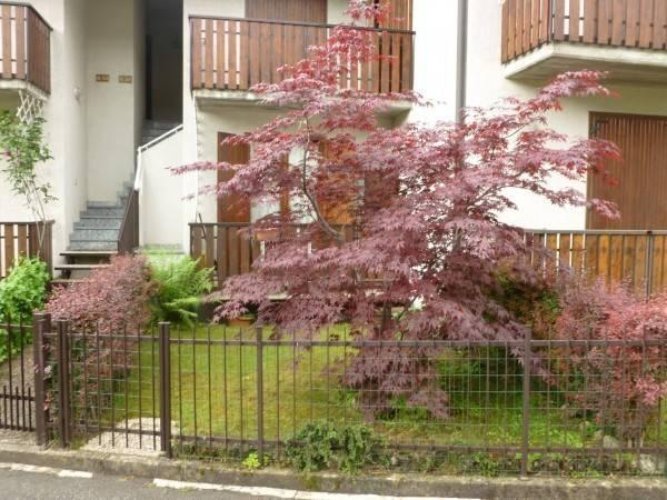 Trilocale Castione della Presolana