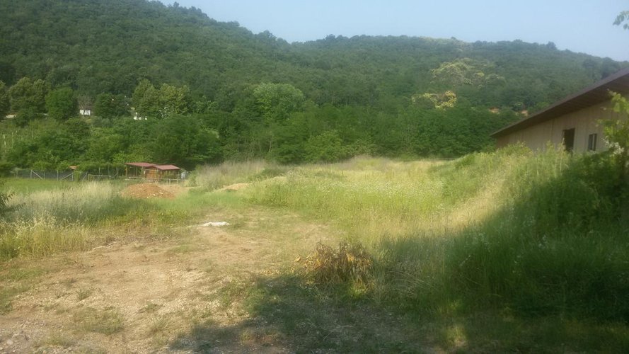 TERRENO AGRICOLO Concesio