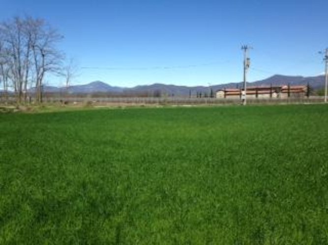 TERRENO AGRICOLO Ospitaletto