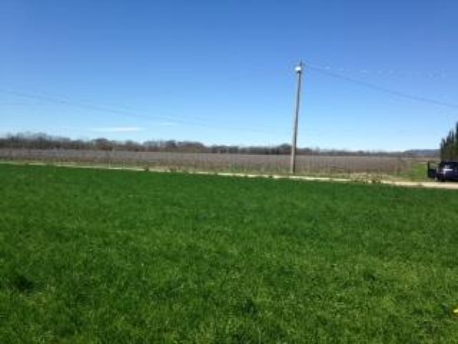 TERRENO AGRICOLO Ospitaletto