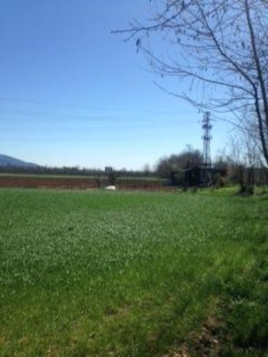 TERRENO AGRICOLO Ospitaletto