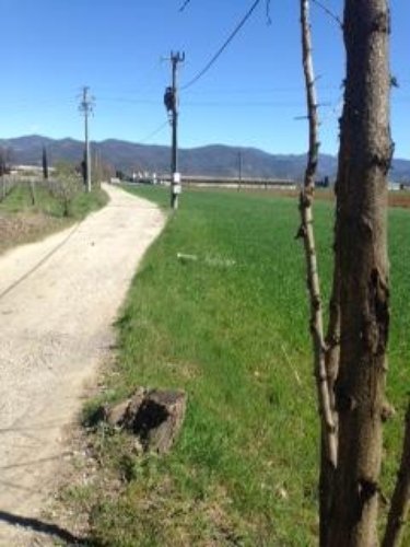 TERRENO AGRICOLO Ospitaletto