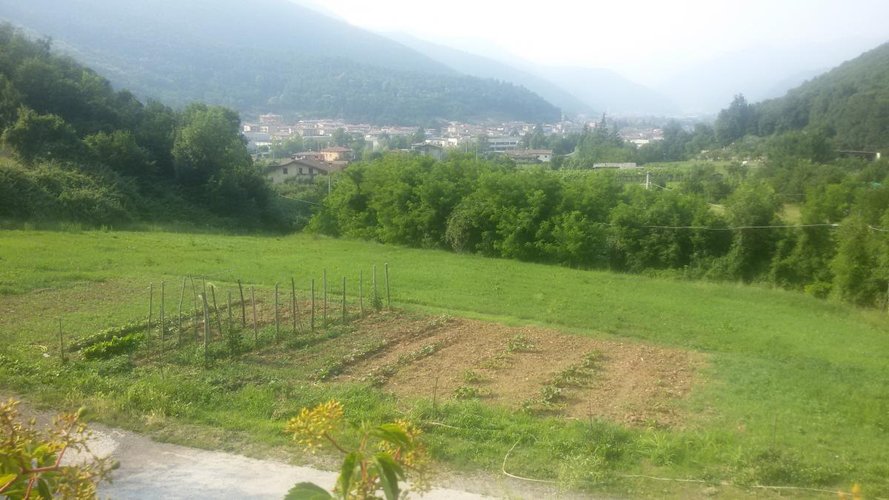 TERRENO AGRICOLO Concesio