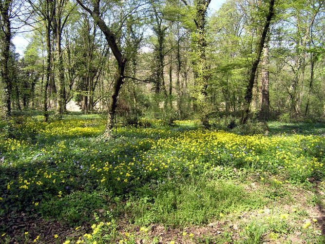 TERRENO AGRICOLO Gussago