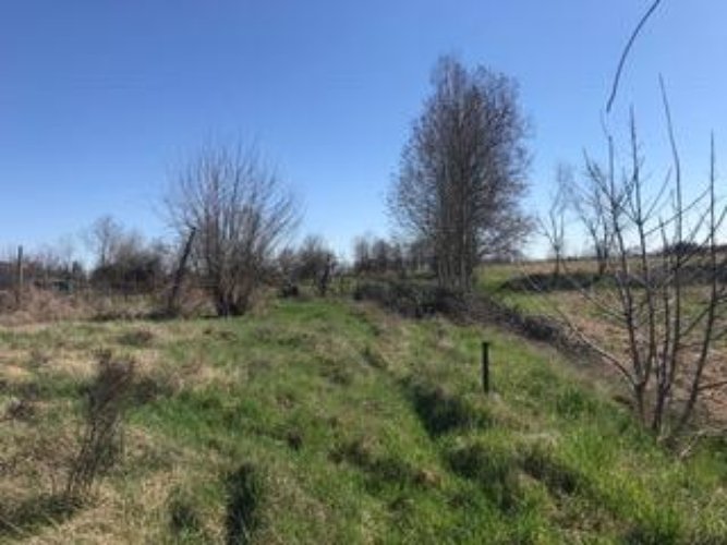 TERRENO AGRICOLO Flero