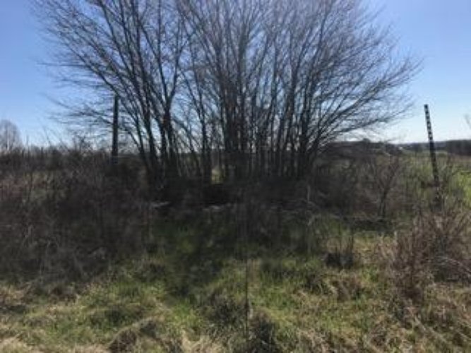 TERRENO AGRICOLO Flero