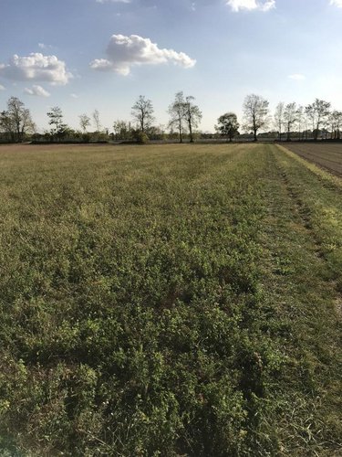 TERRENO AGRICOLO Paderno franciacorta