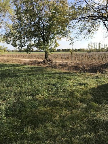 TERRENO AGRICOLO Paderno franciacorta