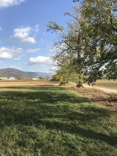 TERRENO AGRICOLO Paderno franciacorta