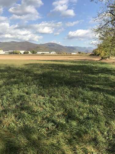 TERRENO AGRICOLO Paderno franciacorta