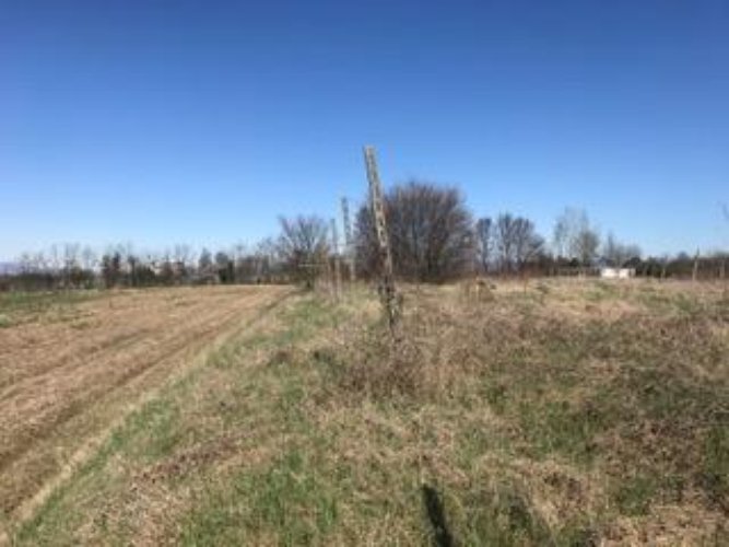 TERRENO AGRICOLO Flero