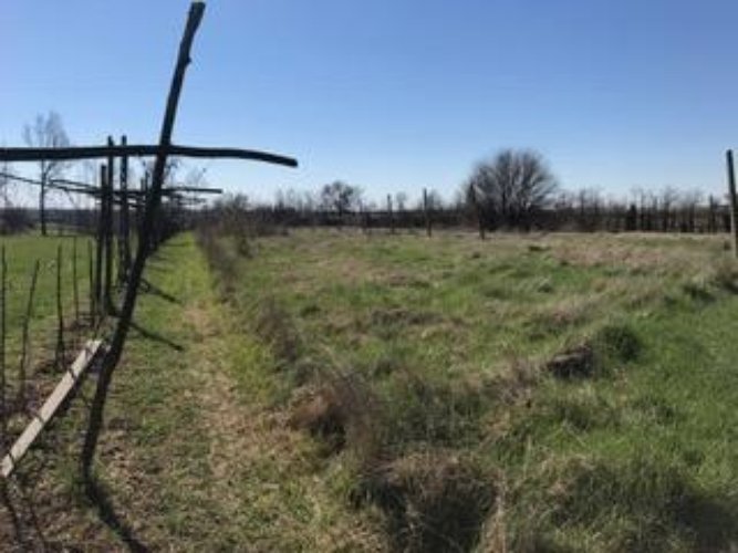 TERRENO AGRICOLO Flero