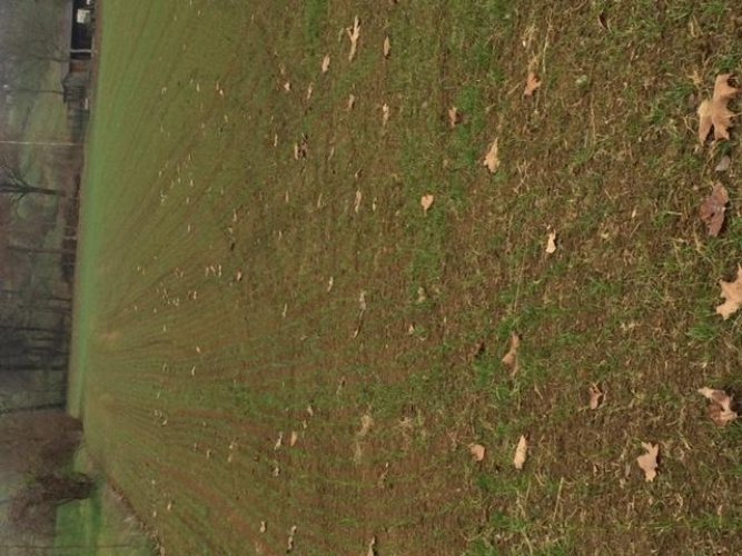 TERRENO AGRICOLO Brescia