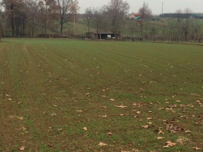 TERRENO AGRICOLO Brescia