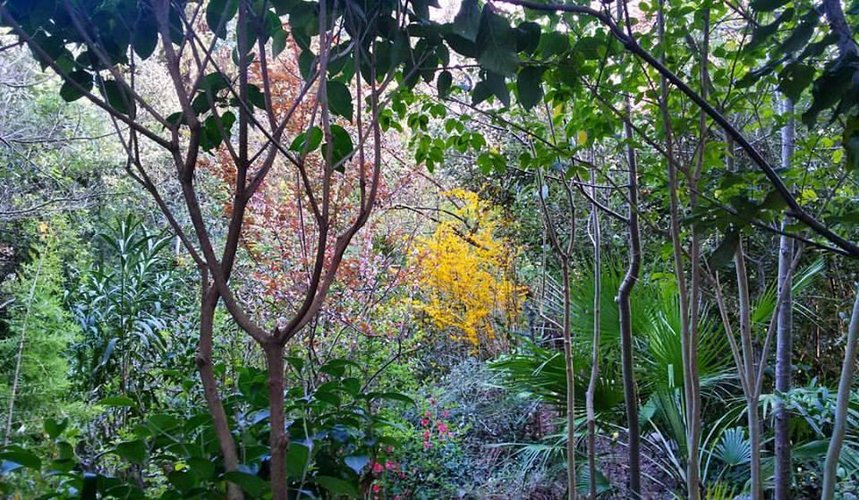 TERRENO AGRICOLO Cellatica