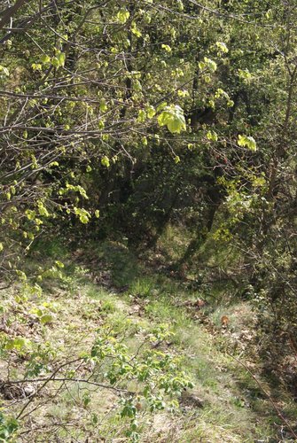 TERRENO AGRICOLO Cellatica