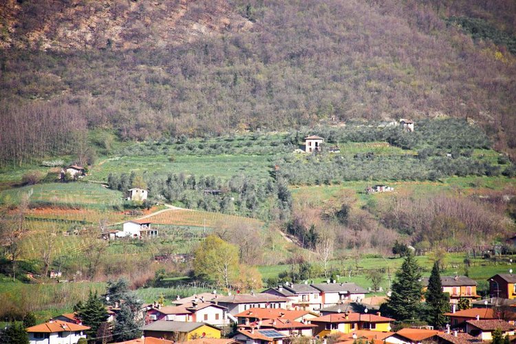 TERRENO AGRICOLO Ome