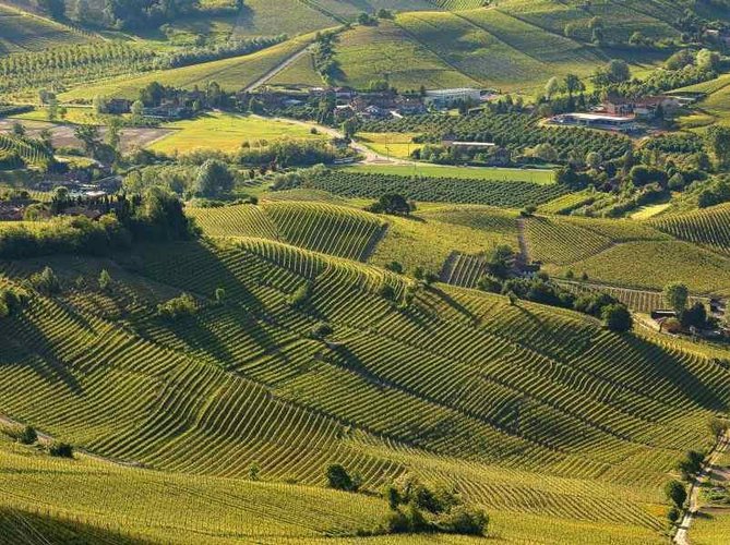 TERRENO AGRICOLO Ome