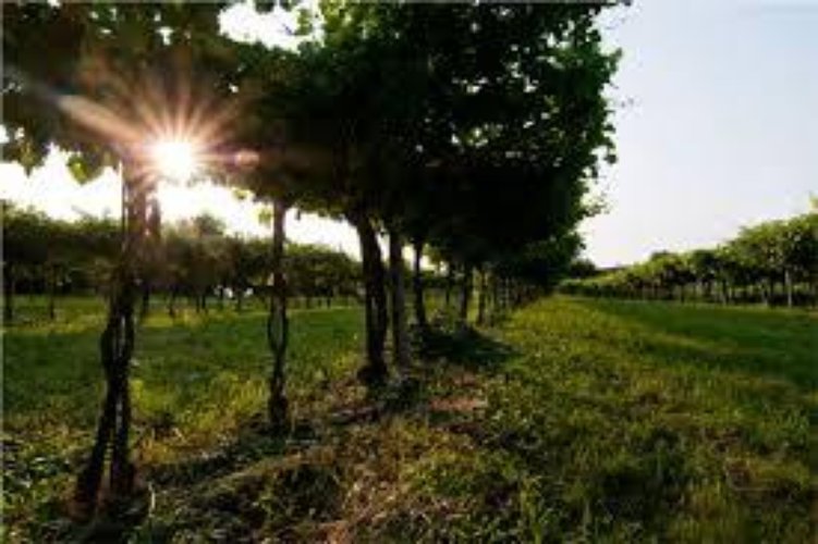 Trilocale Azzano mella