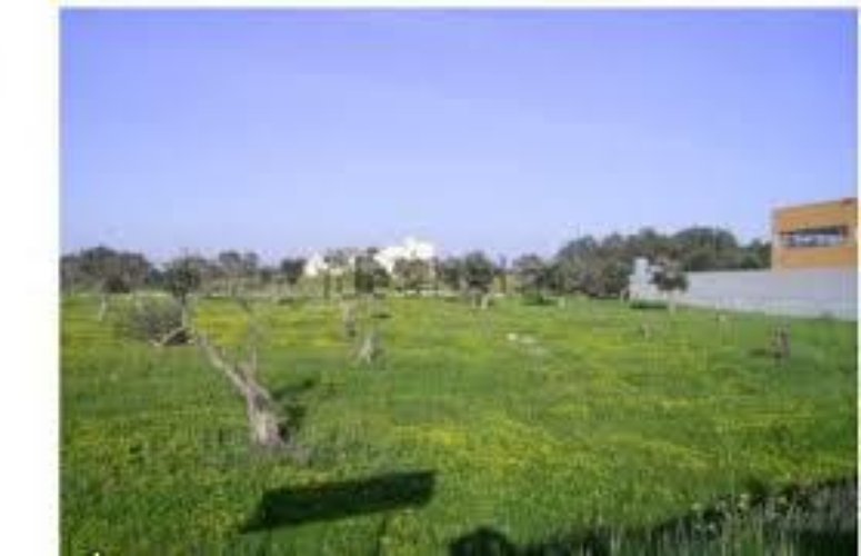 AREA EDIFICABILE Castegnato