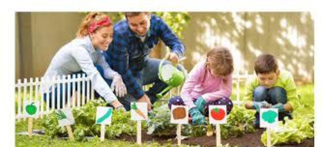 TERRENO AGRICOLO Brescia