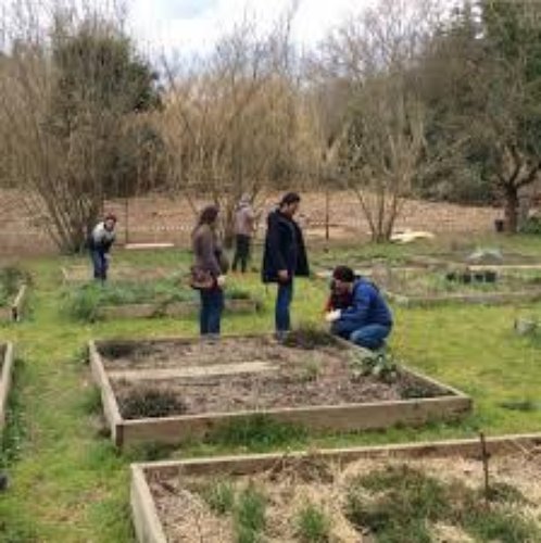 TERRENO AGRICOLO Brescia