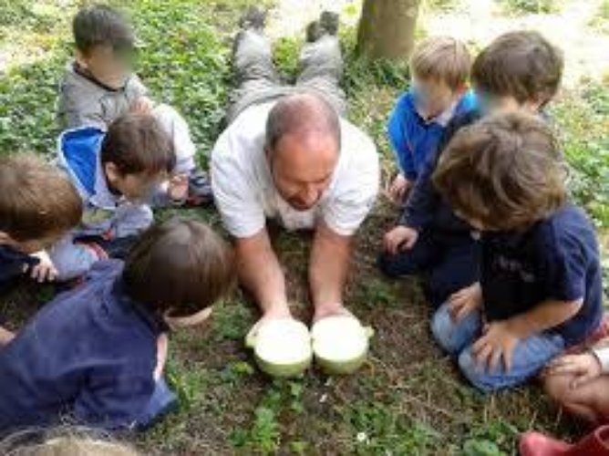 TERRENO AGRICOLO Brescia