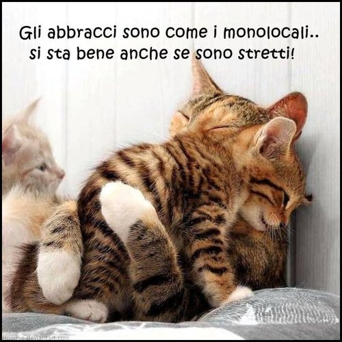 Monolocale Paderno franciacorta