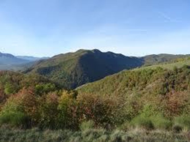 TERRENO AGRICOLO Cellatica