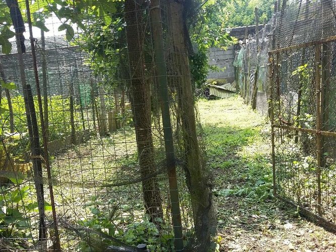 CASA INDIPENDENTE Chignolo po