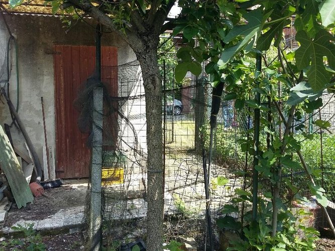 CASA INDIPENDENTE Chignolo po