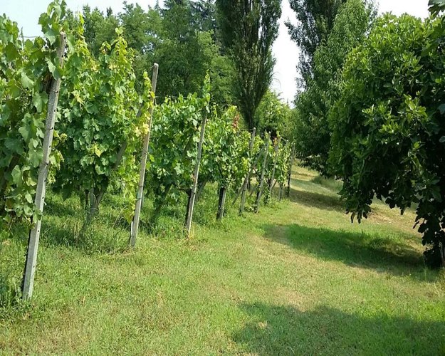 RUSTICO San Colombano al Lambro