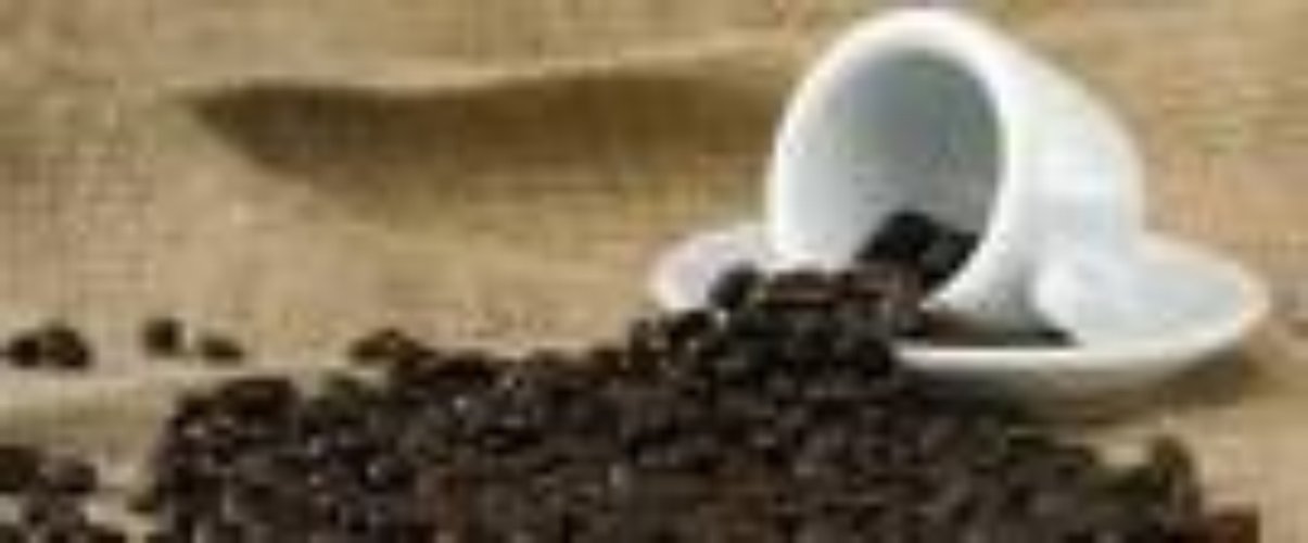 BAR TAVOLA FREDDA, SESTO SAN GIOVANNI. Sesto San Giovanni