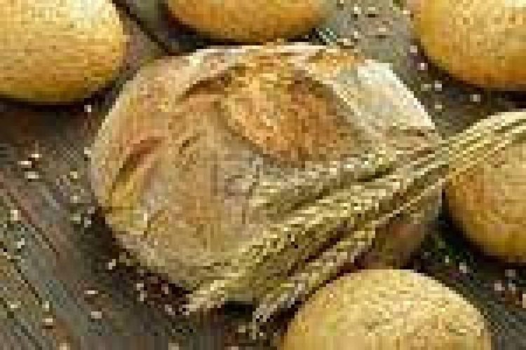 Panificio - Pastificio Vimercate