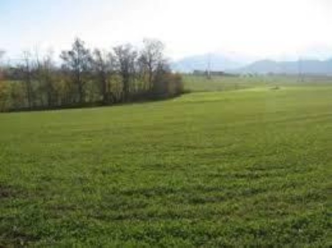 Terreno Commerciale Piacenza