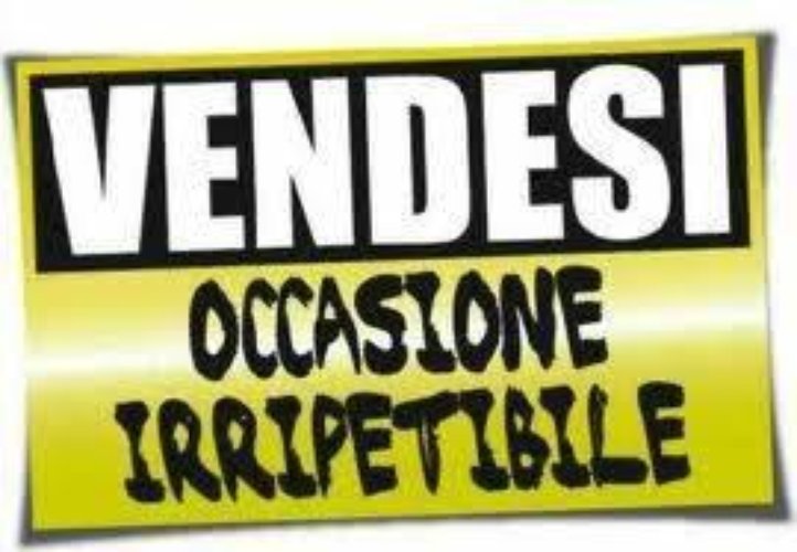 Negozio Sesto San Giovanni