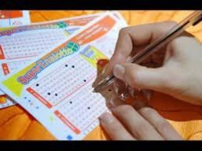 Bar Tavola Calda - Fredda Gorgonzola