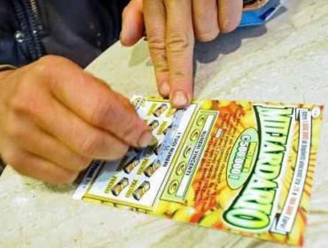 Bar Tavola Calda - Fredda Gorgonzola