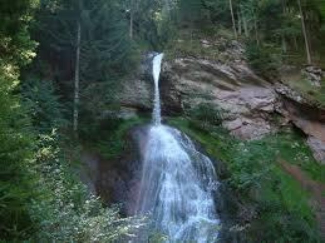 AZIENDA ACQUE MINERALI CEDESI, LEADER NEL SETTORE DELLA PROD Monza