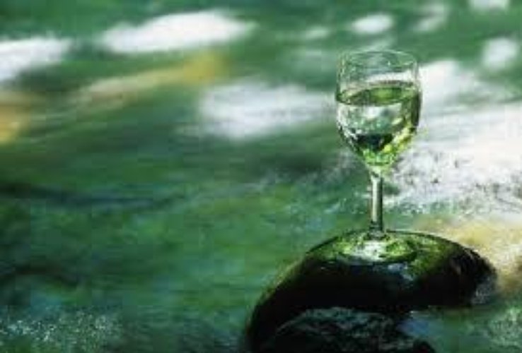 AZIENDA ACQUE MINERALI CEDESI, LEADER NEL SETTORE DELLA PROD Monza