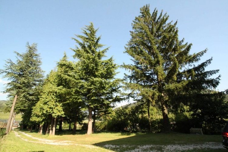 Porzione di Casa di 300 mq. - Valle dei Laghi 