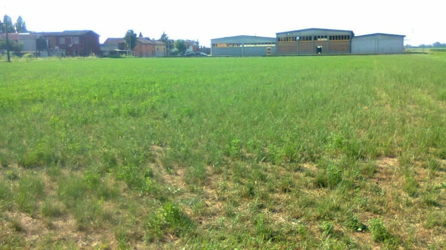 TERRENO EDIFICABILE INDUSTRIALE di MQ.5.500 a MONZA V.le Del Monza