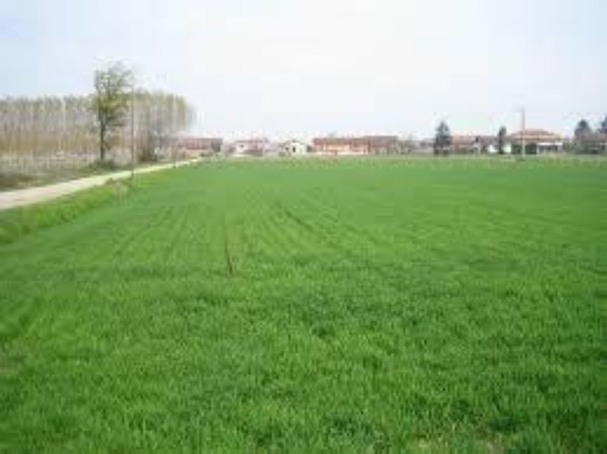 TERRENO EDIFICABILE INDUSTRIALE di MQ.5.500 a MONZA V.le Del Monza