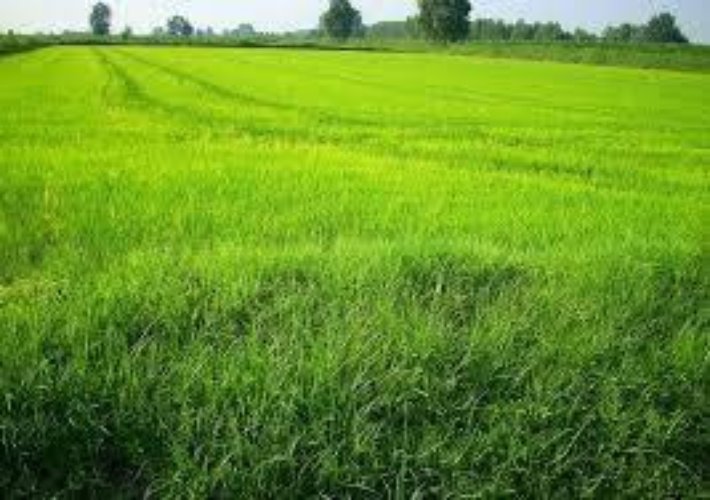 TERRENO EDIFICABILE INDUSTRIALE di MQ.5.500 a MONZA V.le Del Monza