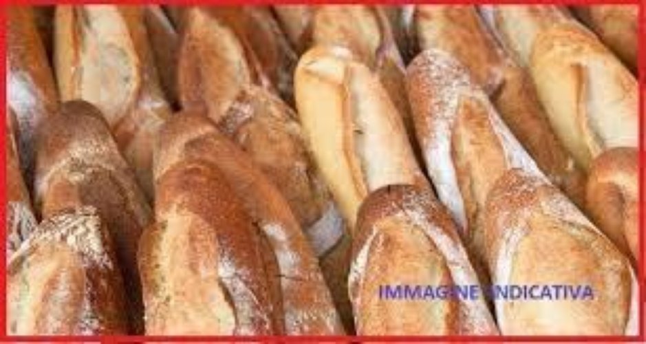 PANIFICIO con Laboratorio di Produzione, CEDESI a MONZA zona Monza