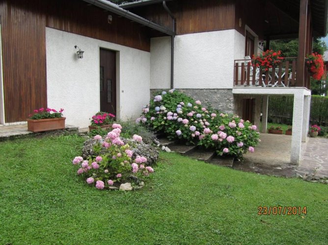 Quadrilocale Castione della Presolana