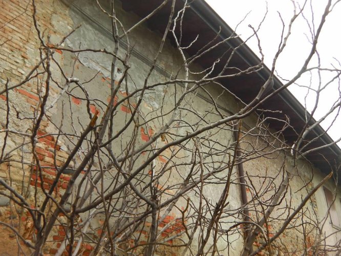 Tipica Cascina Bergamasca in Città' Bergamo