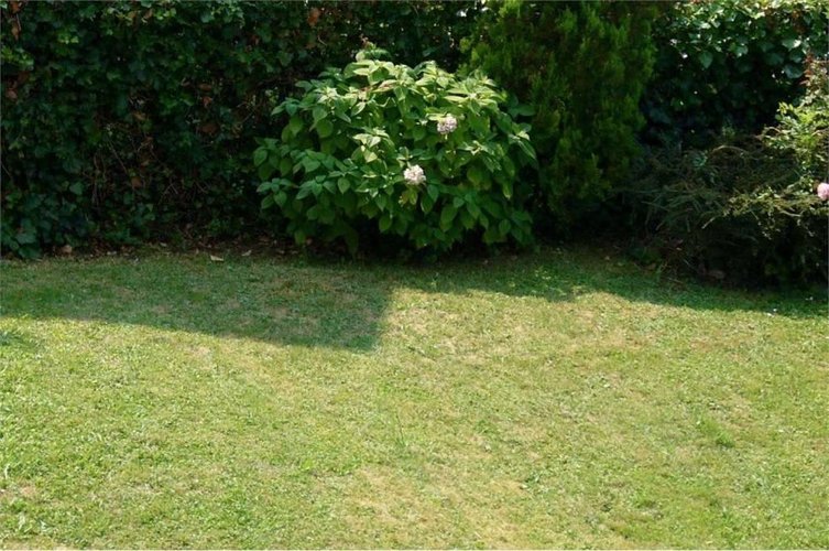 TRILOCALE panoramico Roncola