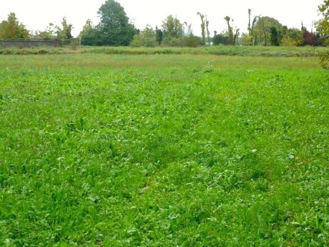 Terreno agricolo Grassobbio